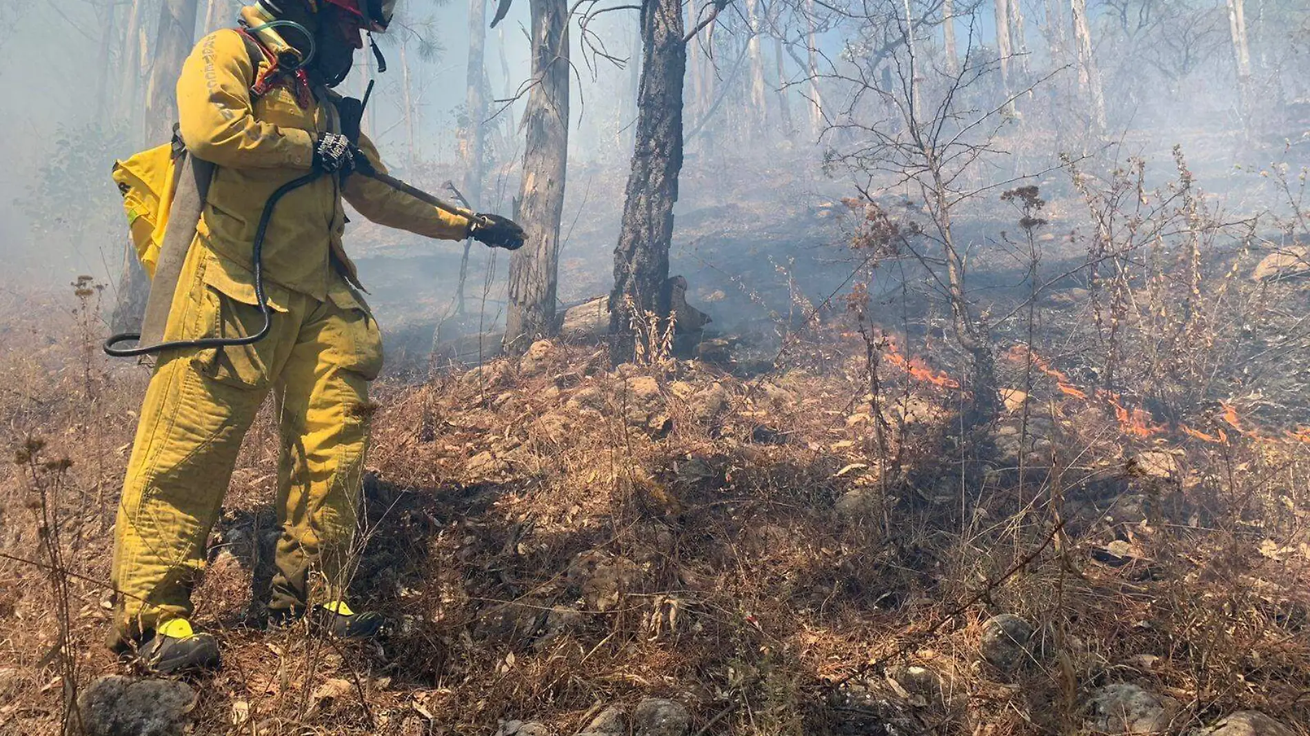 incendio forestal 2